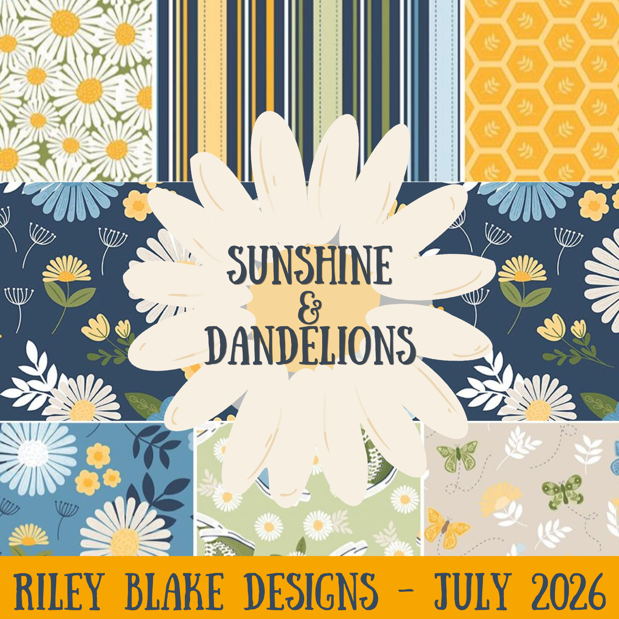 Sunshine and Dandelions