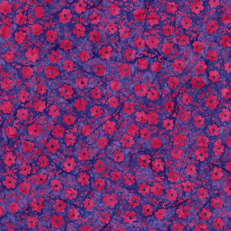 Batiks | Daisy Dots | Lollipop