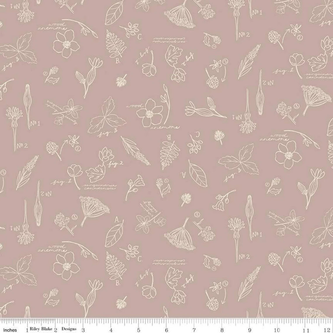 Riley Blake Wildwood Wander Sketchbook Taupe - Sold by the 1/2 Yard