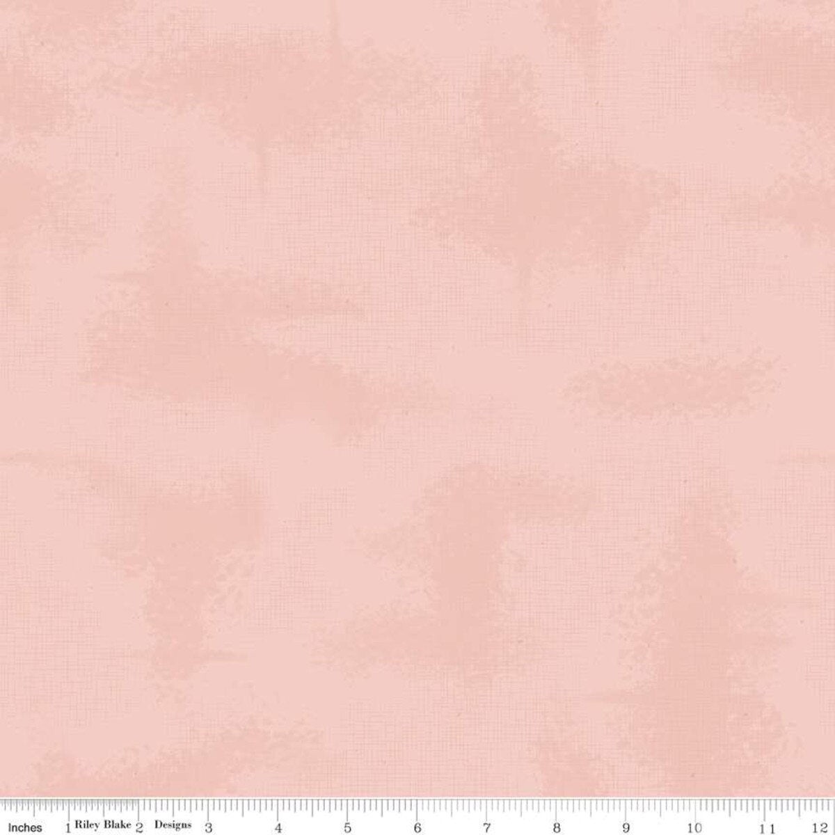 Shabby | Tutu