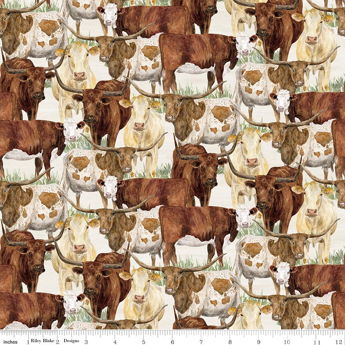 The Homestead | Herd of Cattle Cream
