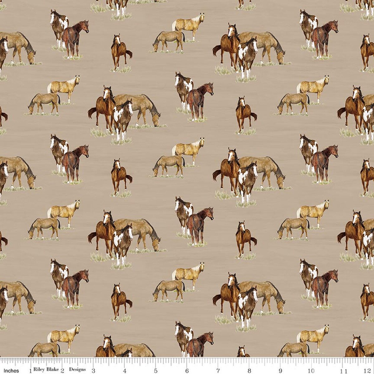 The Homestead | Horses Tan