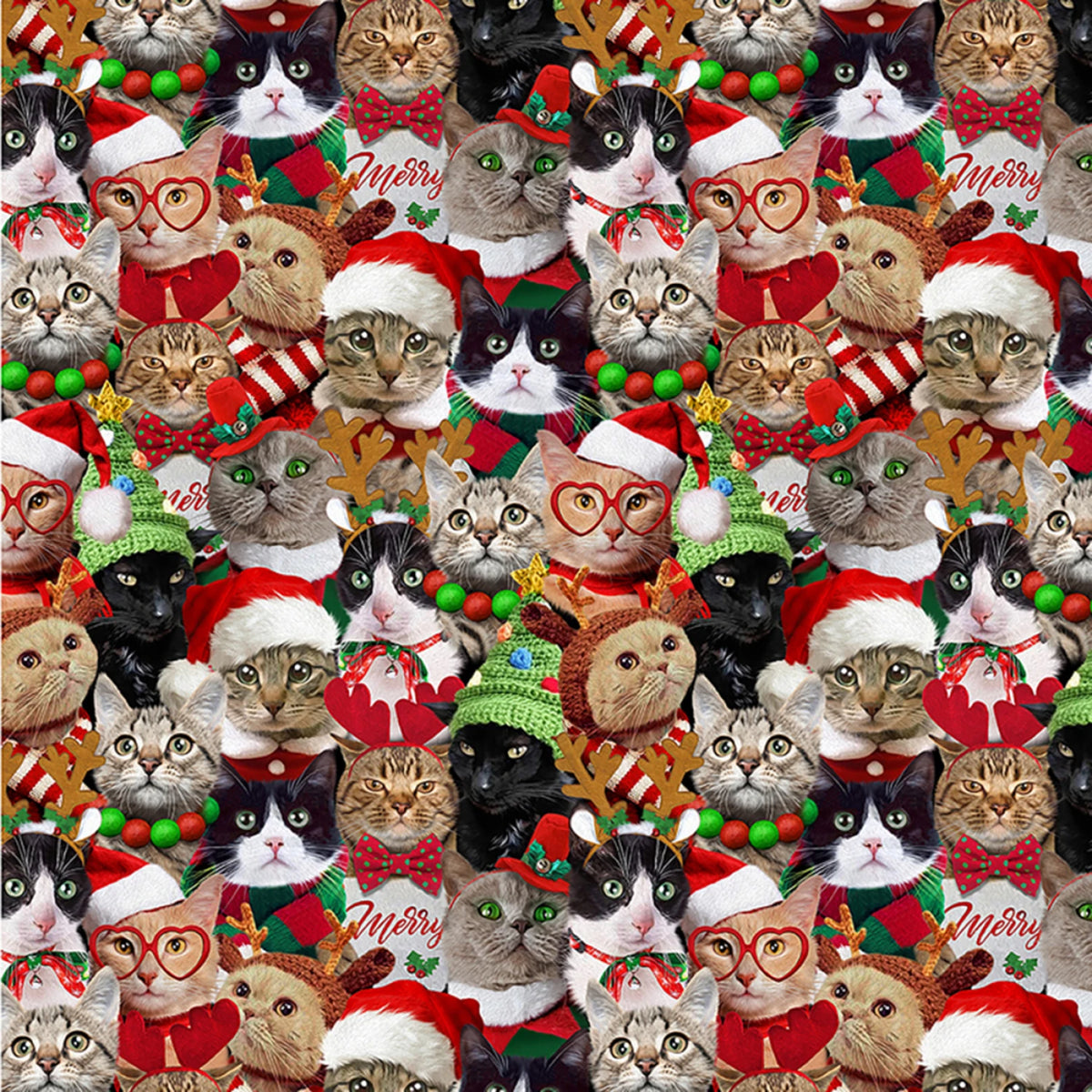 Holiday Packed Christmas Cats | Sold by the 1/2 Yard