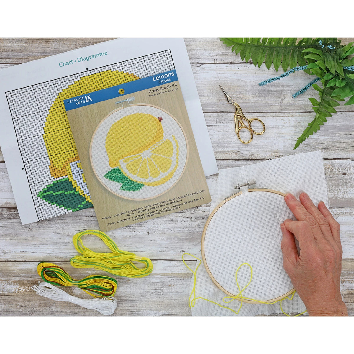 Lemon Cross Stitch Kit by Leisure Arts