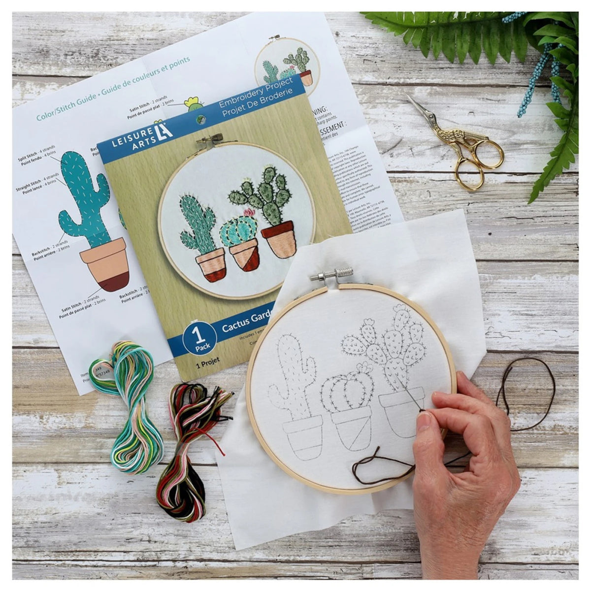 Cactus Garden 6" Embroidery Kit by Leisure Arts