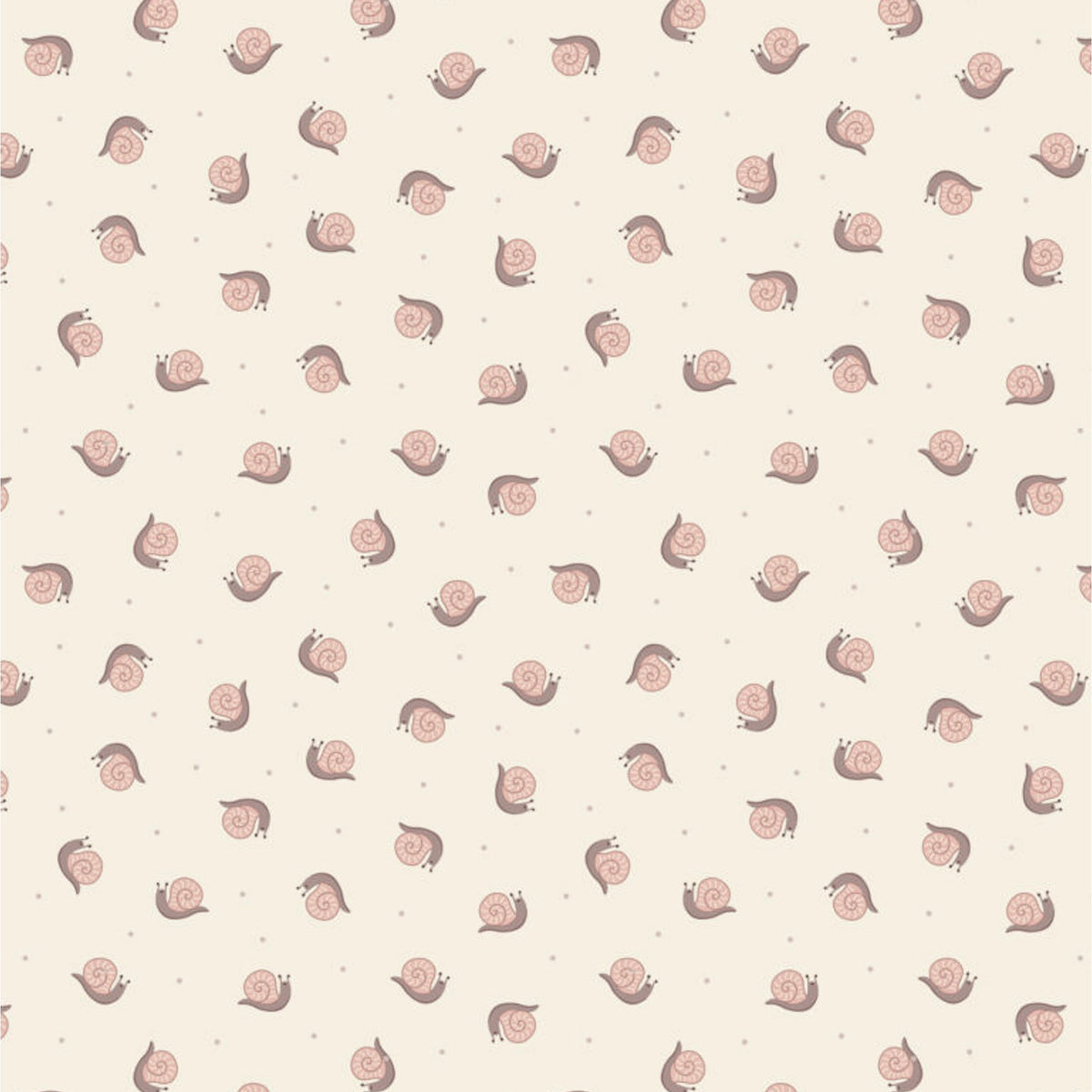 Small Things | Snails