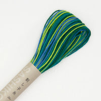Olympus Variegated Sashiko Thread - 22 yard skein - Made in Japan
