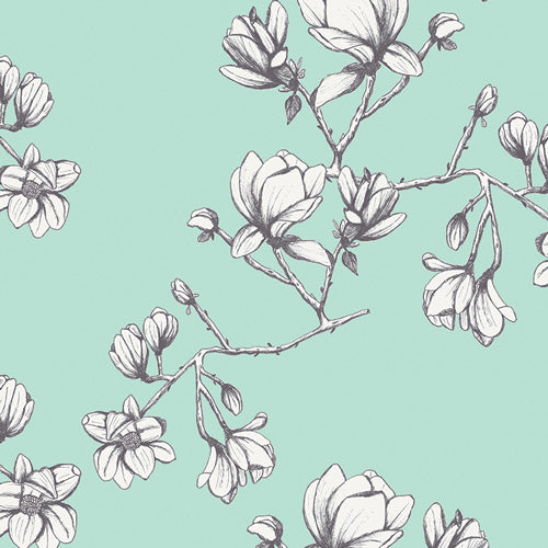 Magnolia Study Fresh | Wild Bloom