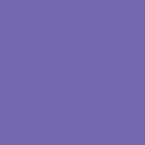 Confetti Cottons AMETHYST - Sold by the 1/2 Yard