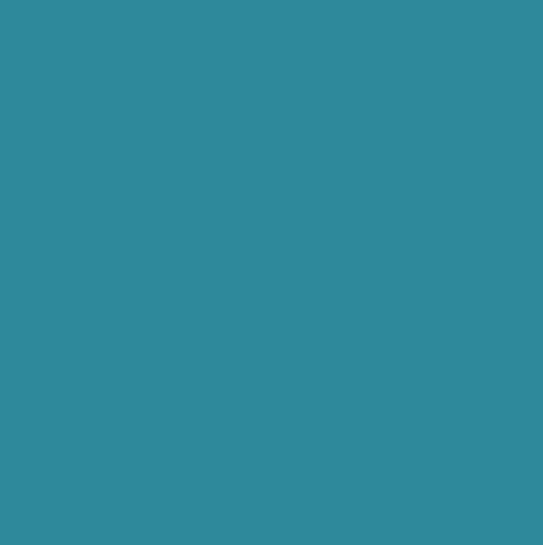 Confetti Cotton Solids | CAPRI