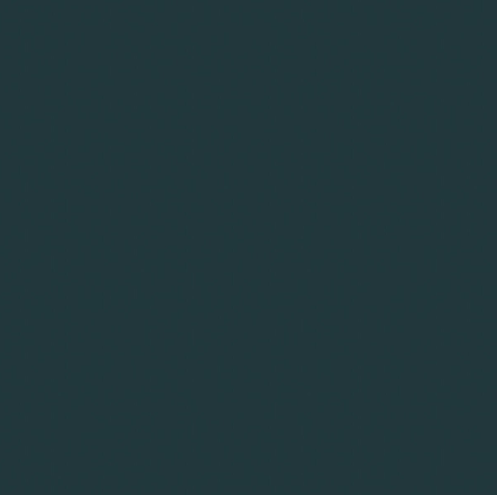 Confetti Cotton Solids | CARBON