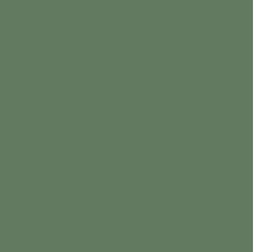 Confetti Cotton Solids | CHIVE