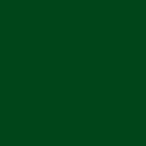Confetti Cotton Solids | CHRISTMAS GREEN