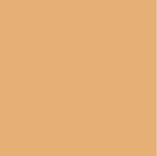 Confetti Cotton Solids | DAISY