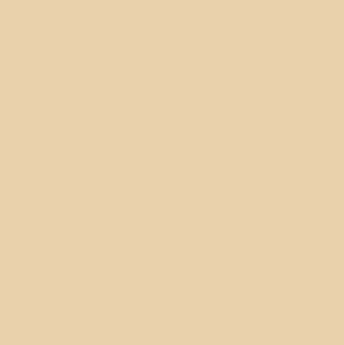 Confetti Cotton Solids | EGGNOG