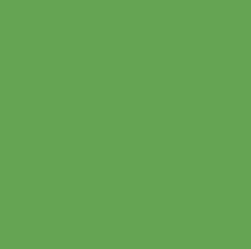 Confetti Cotton Solids | GARDEN