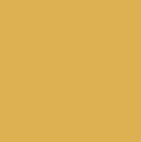 Confetti Cotton Solids | GOLDEN
