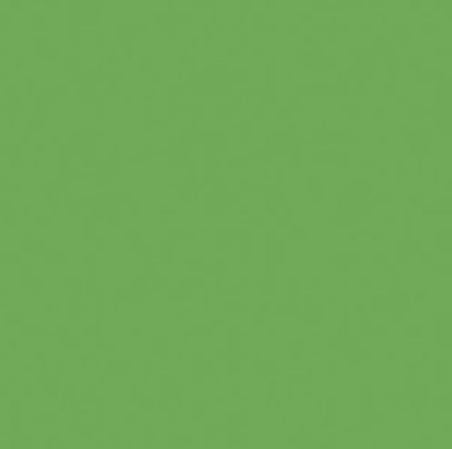 Confetti Cottons RILEY GREEN - Sold by the 1/2 Yard