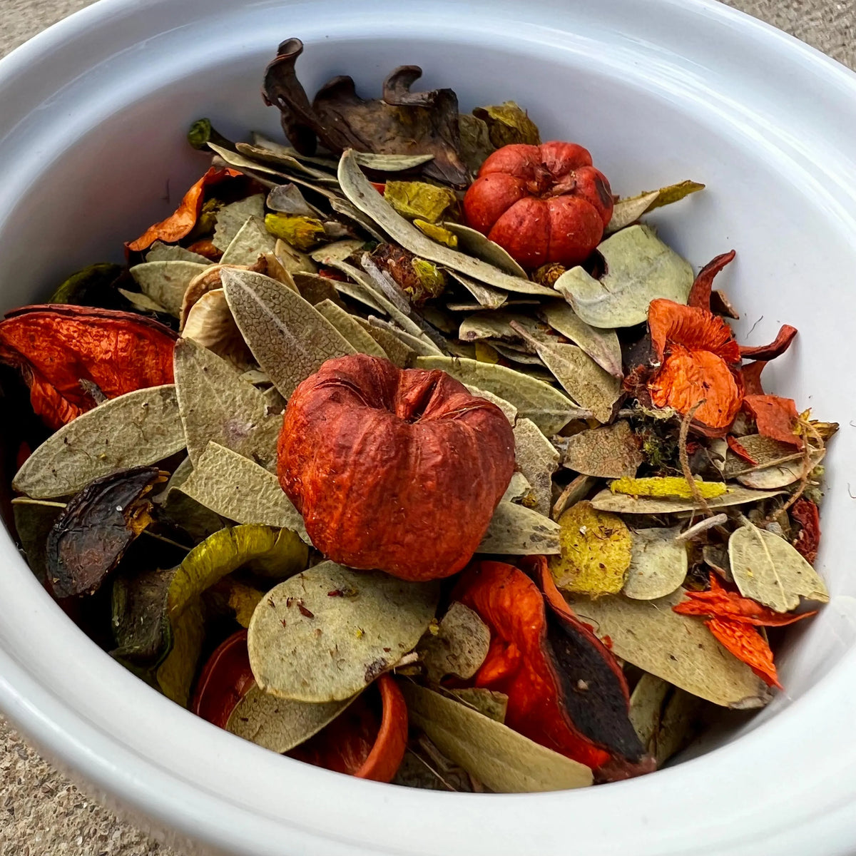 Potpourri | Piney Woods Pumpkin Spice | 2oz