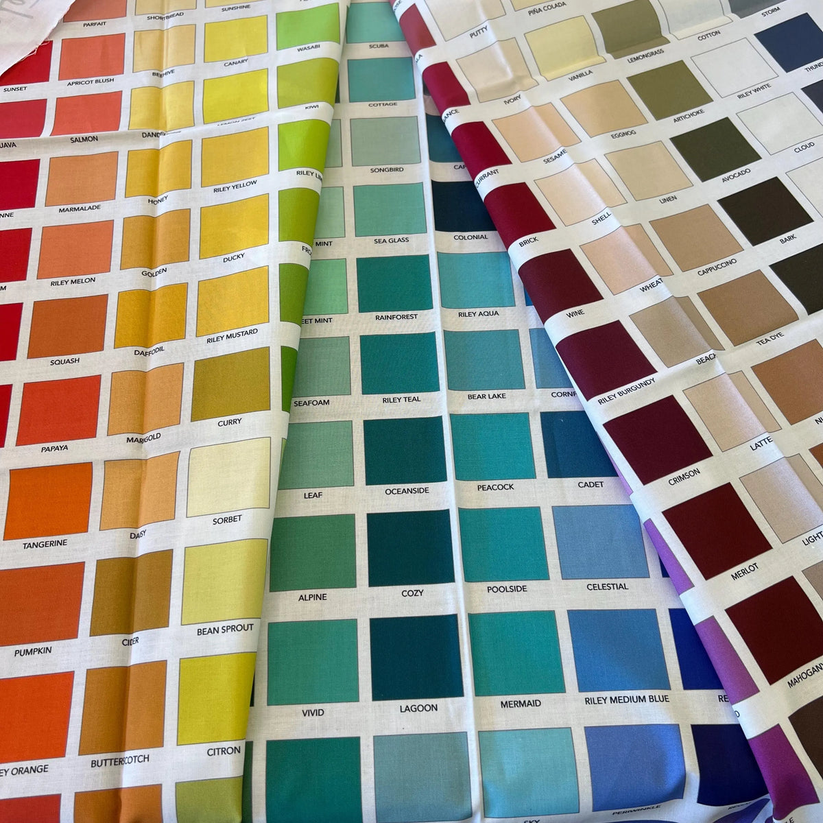 Confetti Cotton Swatch Panel from Riley Blake Designs 35.5" x 43"