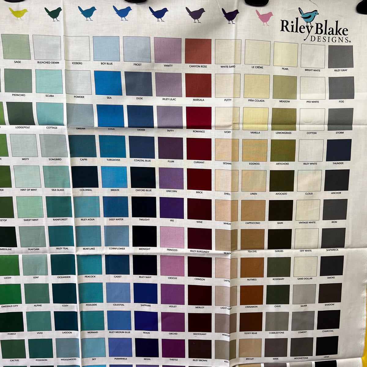 Confetti Cotton Swatch Panel from Riley Blake Designs 35.5" x 43"