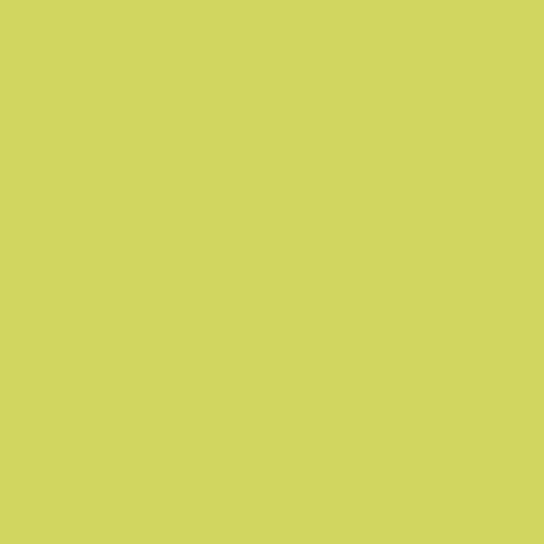 Confetti Cotton Solids | KIWI