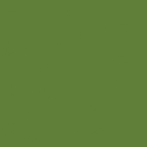 Confetti Cotton Solids | LILY PAD