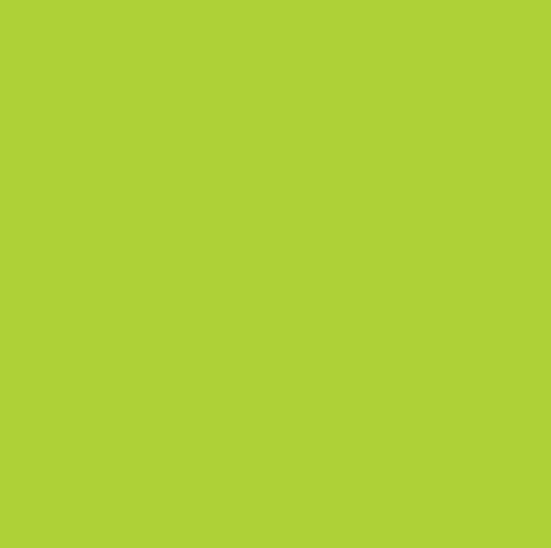 Confetti Cottons LIME - Sold by the 1/2 Yard