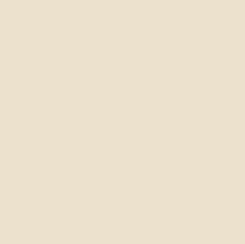 Confetti Cotton Solids | LINEN
