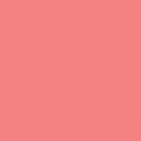 Confetti Cotton Solids | LIPSTICK