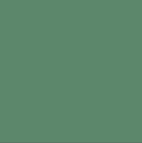 Confetti Cotton Solids | LODGE POLE