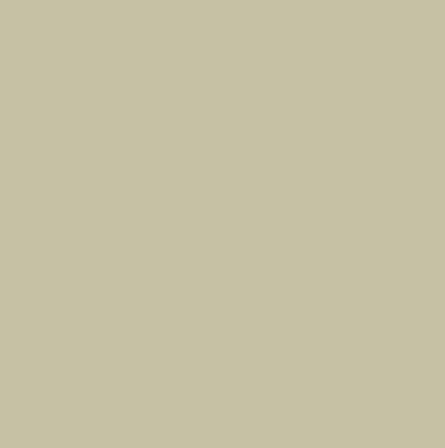 Confetti Cotton Solids | MEADOW