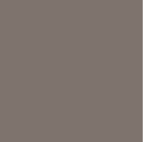 Confetti Cotton Solids | MINK