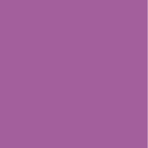 Confetti Cottons ORCHID - Sold by the 1/2 Yard
