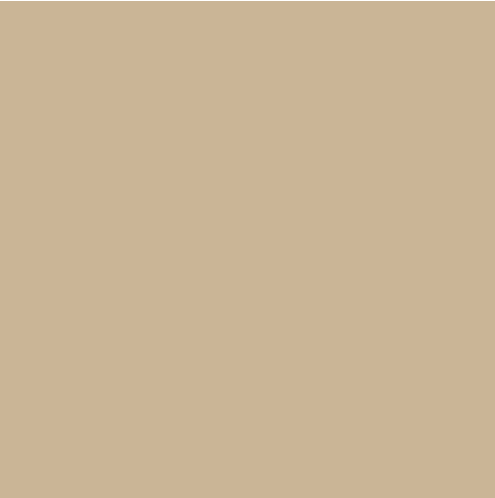Confetti Cotton Solids | PALOMINO