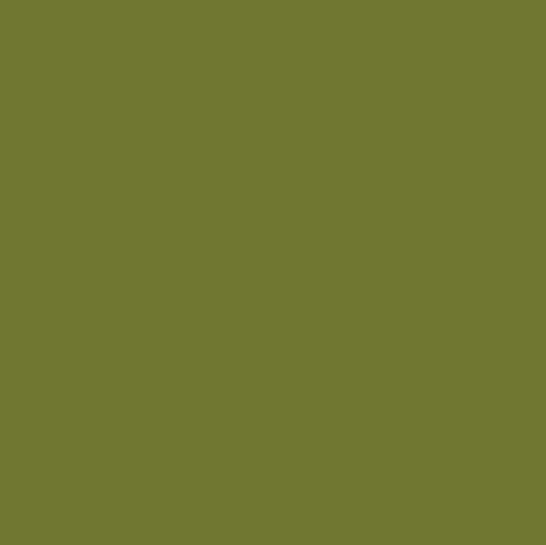 Confetti Cotton Solids | PARSLEY