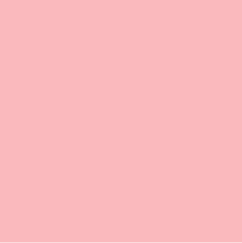 Confetti Cotton Solids | PETUNIA