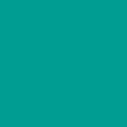 Confetti Cotton Solids | RAINFOREST