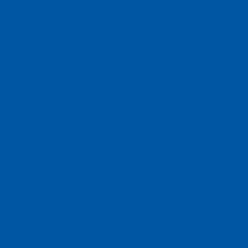 Confetti Cotton Solids | ROYAL BLUE