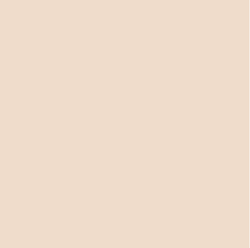 Confetti Cotton Solids | SESAME