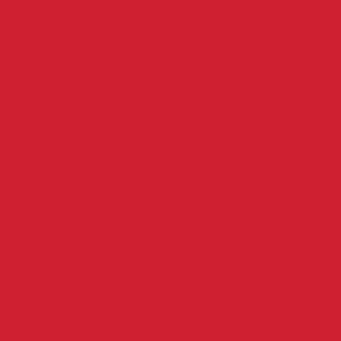 Confetti Cottons TOMATO - Sold by the 1/2 Yard