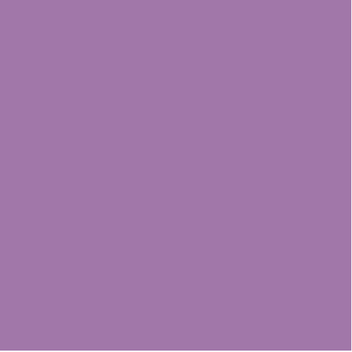 Confetti Cottons VIOLET - Sold by the 1/2 Yard