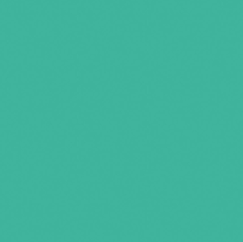 Confetti Cotton Solids | VIVID