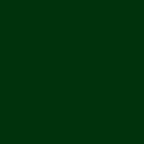 Confetti Cotton Solids | WOODLAND